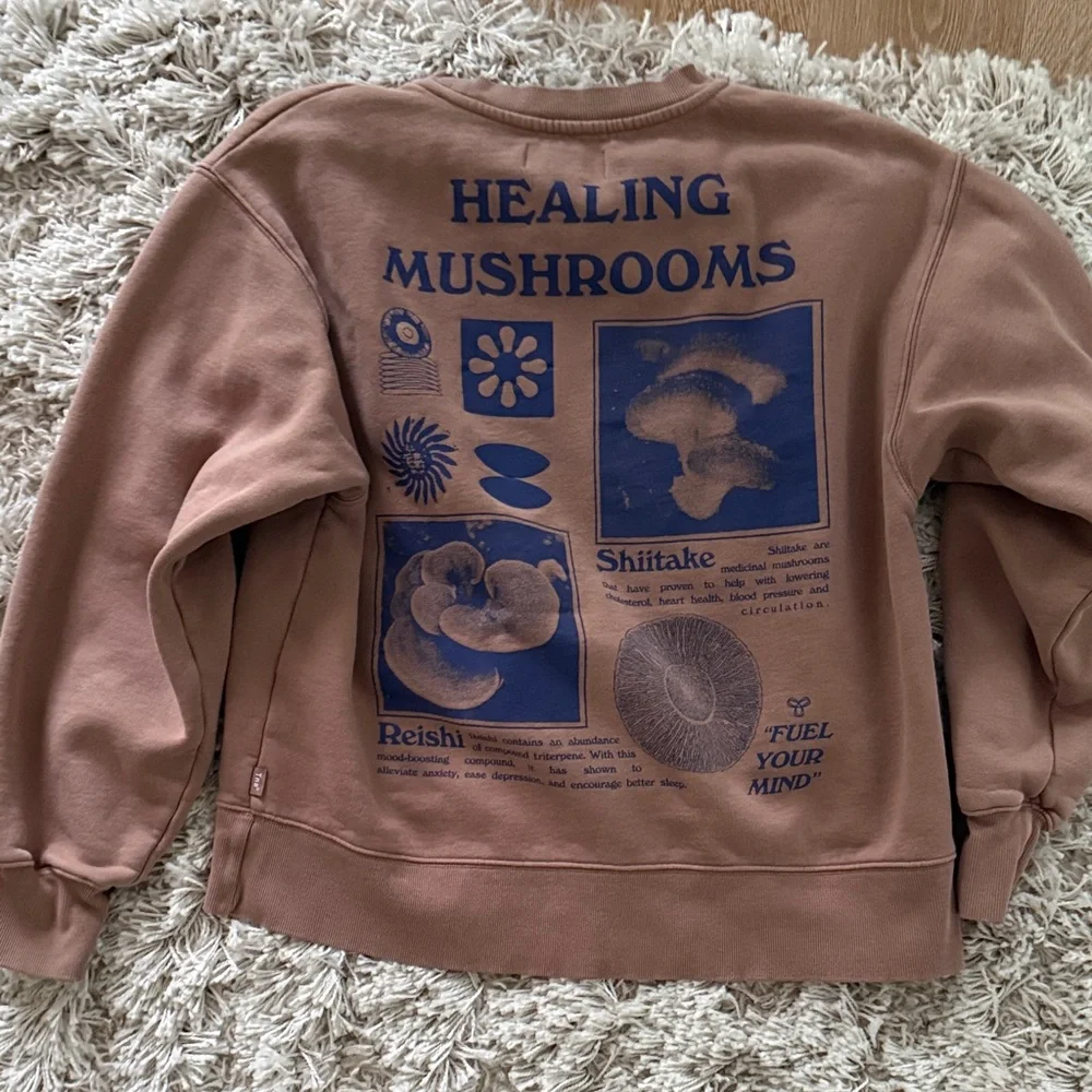 Aritzia Brown Fuel Your Mind Crewneck Sweater - Picture 4 of 5